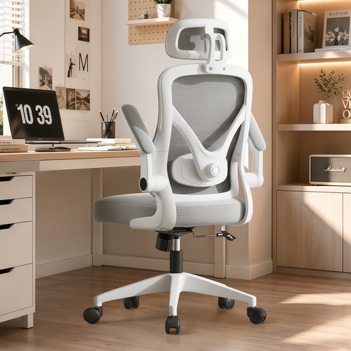 Ergonom bürostuhl - ergonom.,